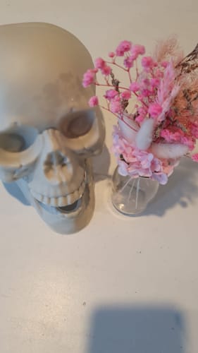 Customer photo review of Bloom & Treats