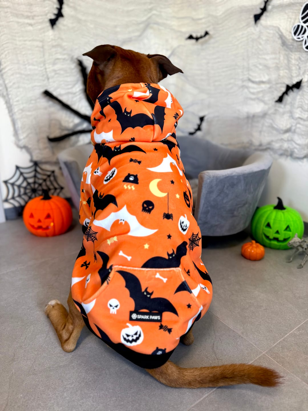 Customer photo review of Halloween Dog Hoodies (Limited Edition)
