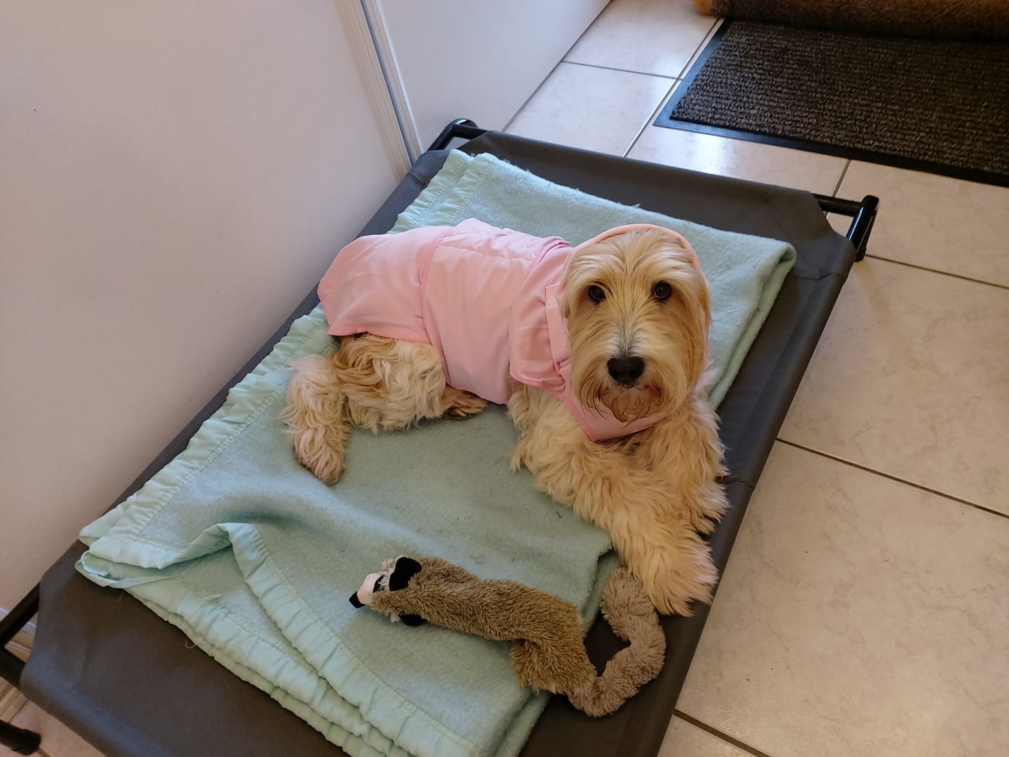 Customer photo review of Anxiety Calming Suit - Pink