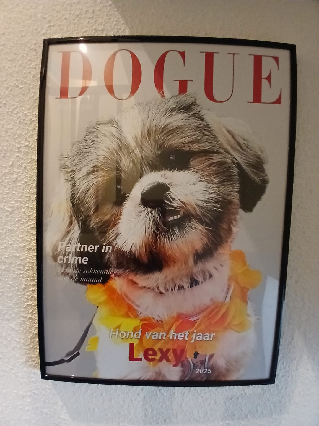 Customer photo review of Dogue - Gepersonaliseerde Poster