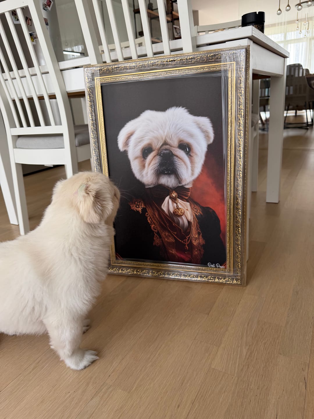 Customer photo review of The Splendid Mister
