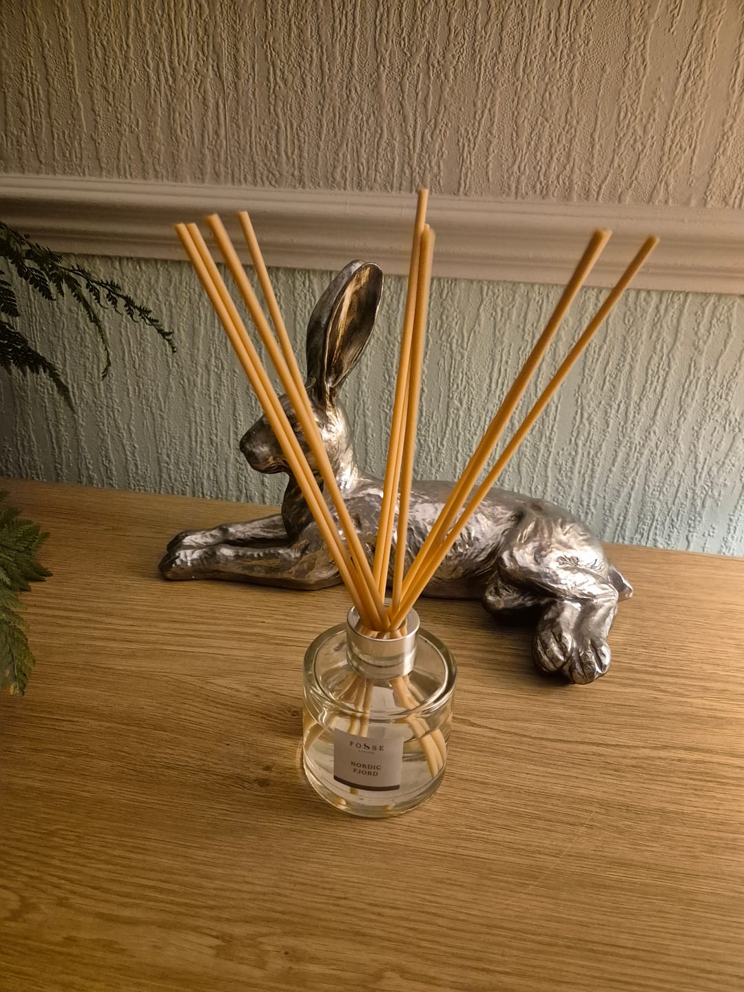 Customer photo review of Nordic Fjord Reed Diffuser