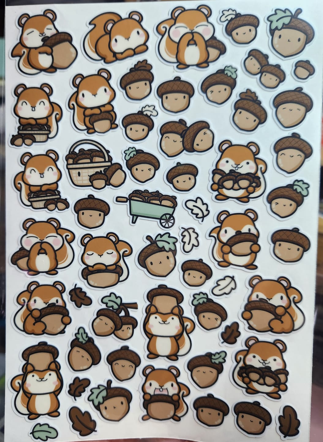 Customer photo review of Squirrelly Acorn Variety Sticker Pack