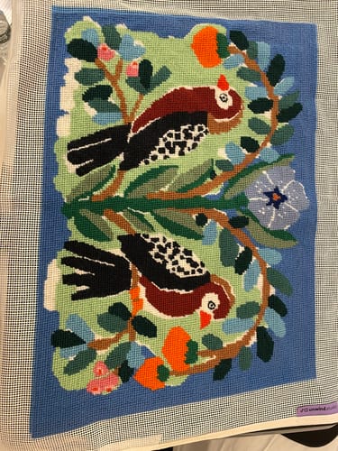 Customer photo review of Birds of a Feather Needlepoint Cushion Kit