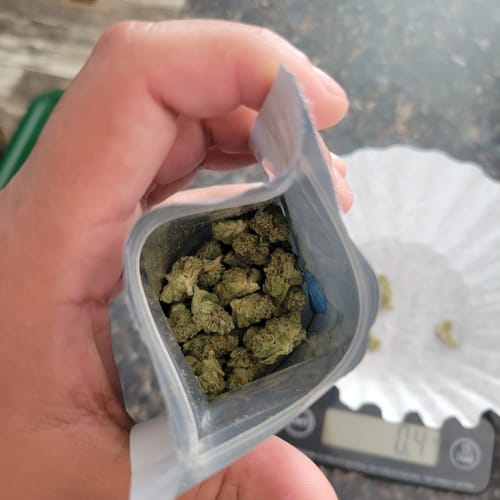 Customer photo review of THCa Greenhouse Smalls
