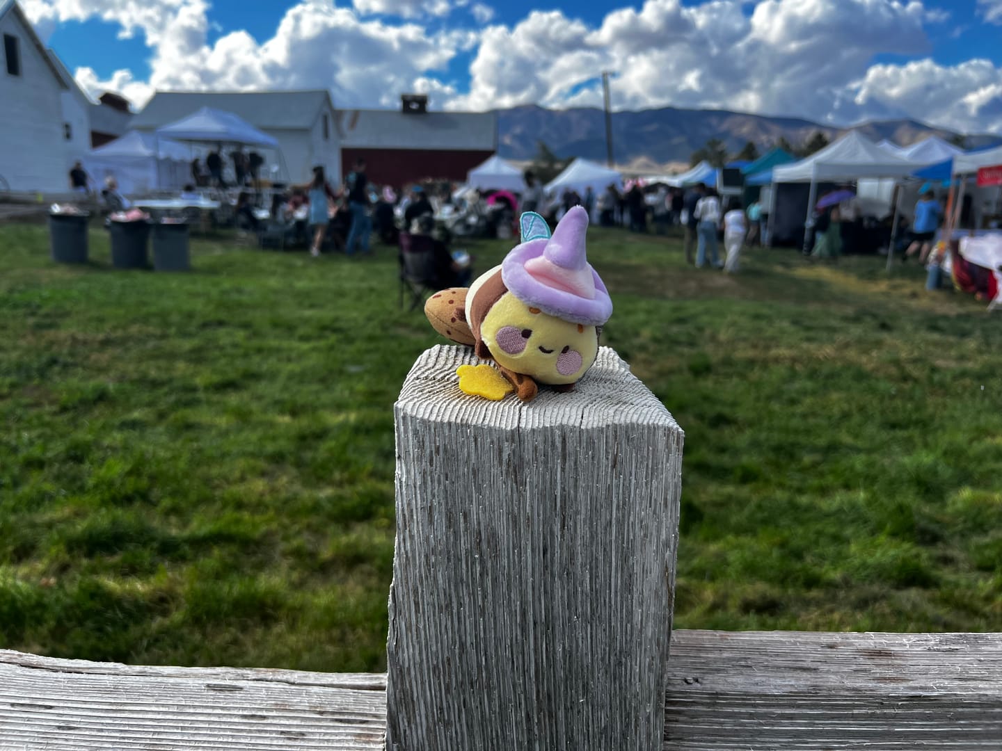 Customer photo review of PRE-ORDER ✨ Bumblebutt & The Pastel Witch Keychain | Kawaii Bee Witch Plush on Broom | Cute Halloween Keyring