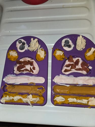 Customer photo review of FreezPaw Mat -  Calming Slow Feeder