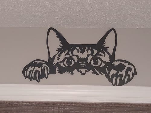 Customer photo review of Peeking Cat Wall Art
