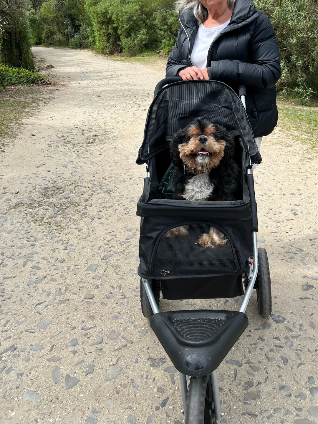 Customer photo review of Pet Dog Stroller Pram - Black