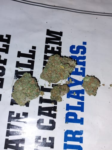 Customer photo review of Blue Dream