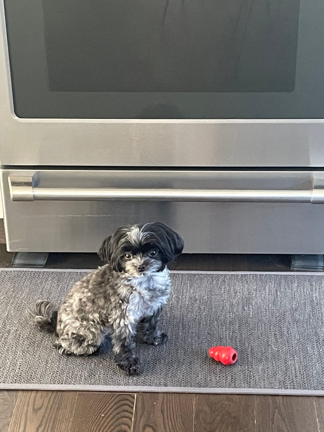 Customer photo review of Vrac Nature's Own - Bâtonnets oesophage de boeuf pour chien