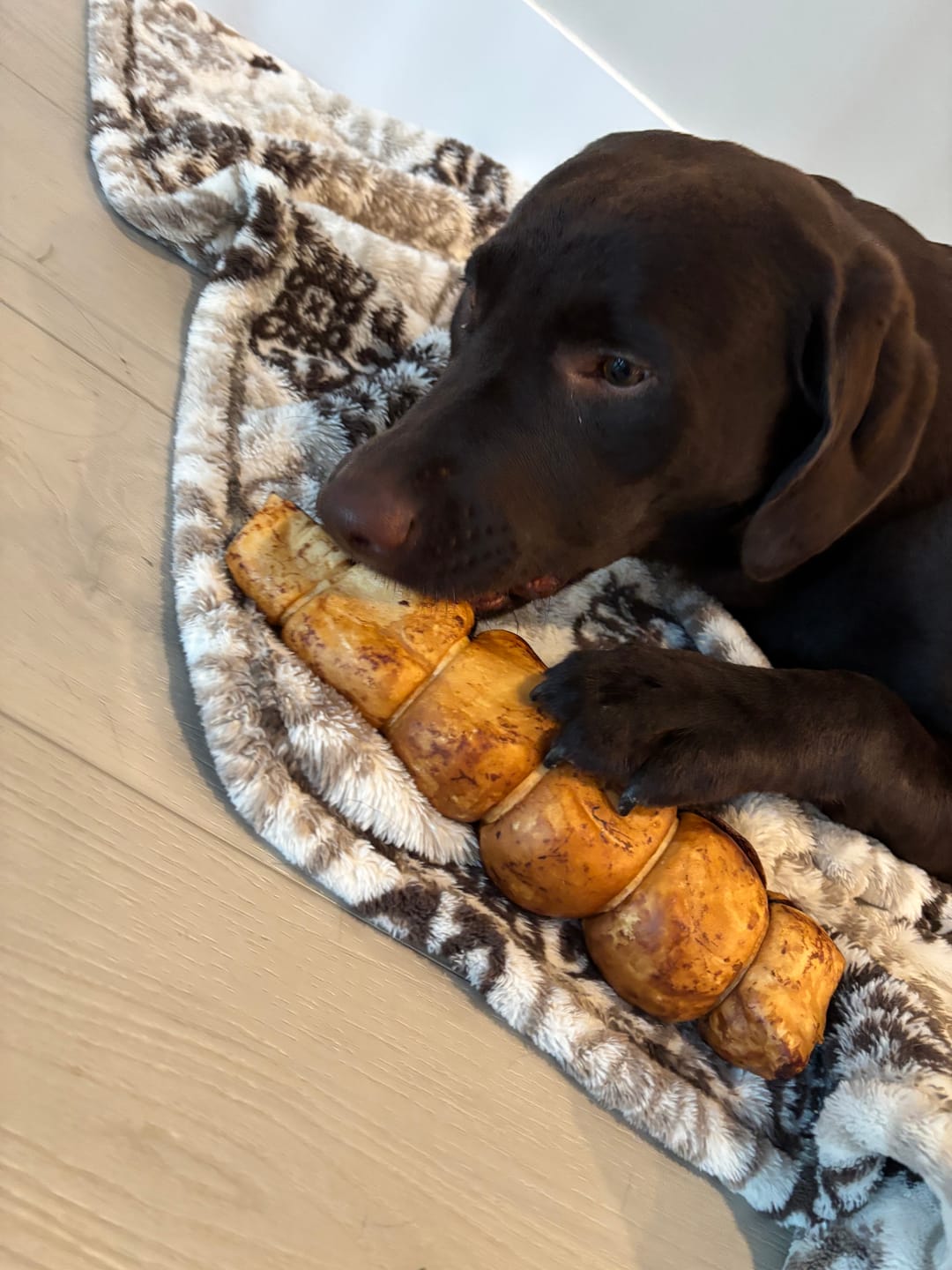 Customer photo review of 10-12 Inch Peanut Butter Cheek Roll