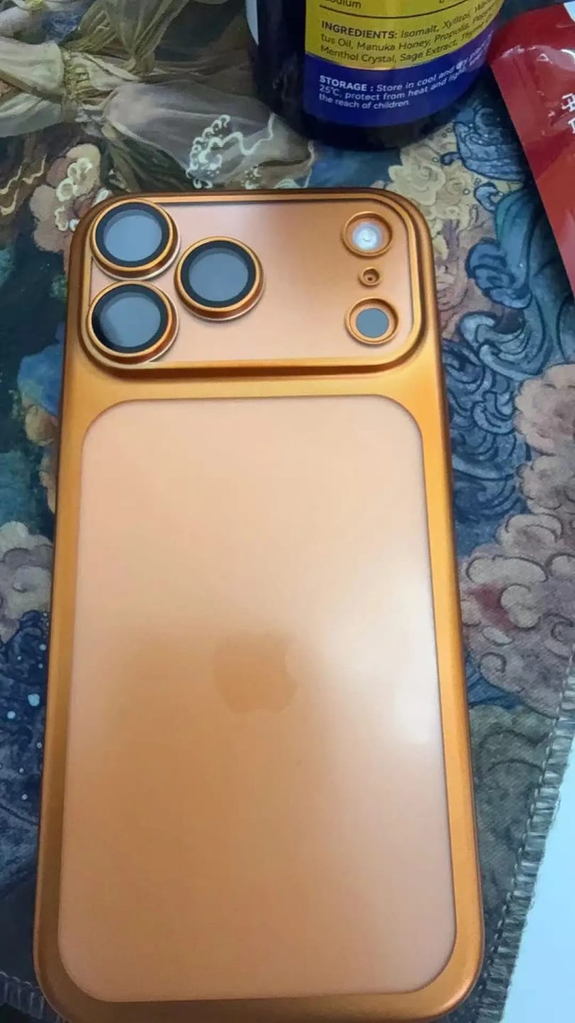 Customer photo review of LuxuryKase Hybrid Frosted Clear Case | Matte Hard Back Cover | Metallic Frame | Shockproof Slim Design | Anti-Fingerprint | In-Built Camera Lens Protection For iPhone