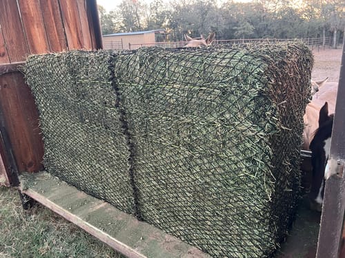 Customer photo review of Hay Chix® Large Bale Net - 6'