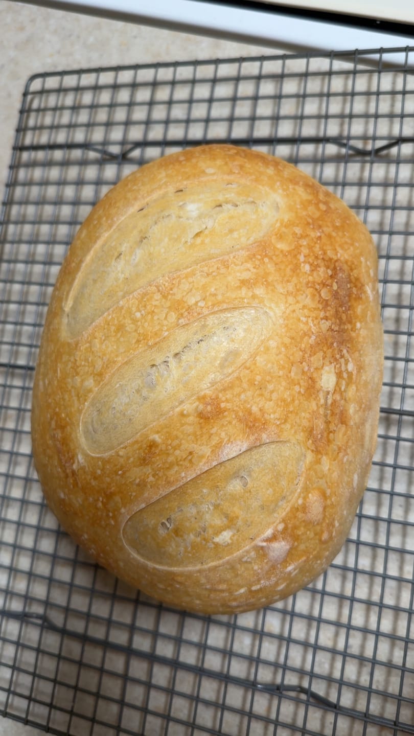 Customer photo review of Sourdough Starter Survival Guide | A Clear, Beginner-Friendly System for Feeding & Maintaining a Healthy Starter