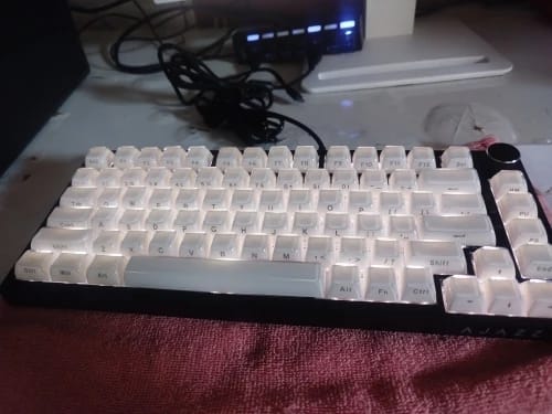 Customer photo review of The Sage Kit