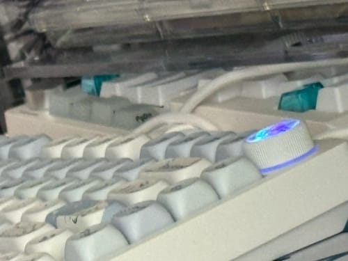 Customer photo review of The Terra Kit