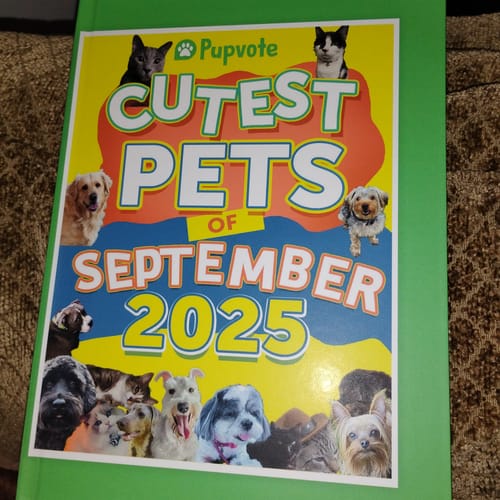 Customer photo review of Meet the Cutest Pets of Pupvote in the 2025 Photobook
