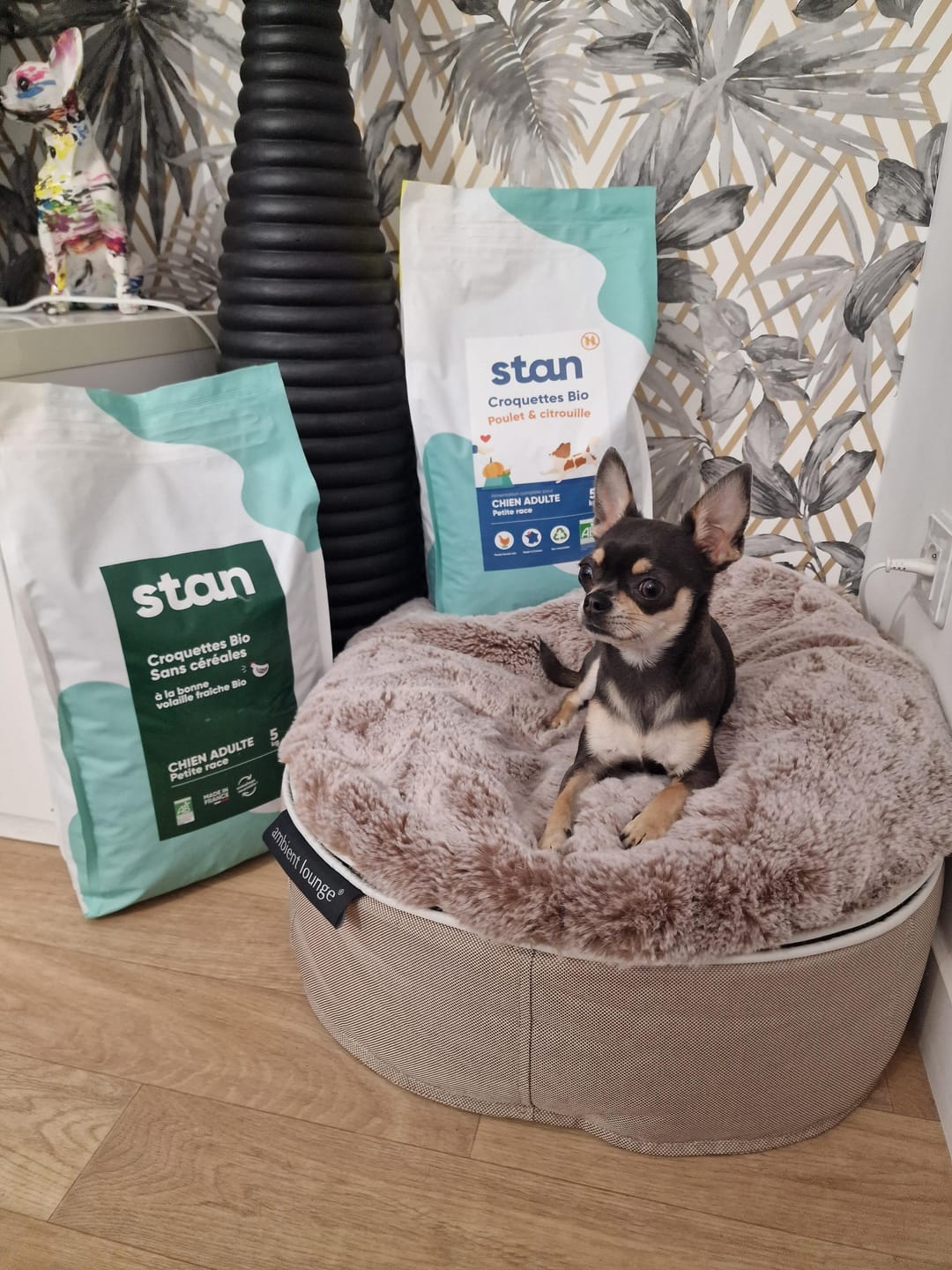 Customer photo review of Croquettes Poulet & Citrouille - Chien Petite Race