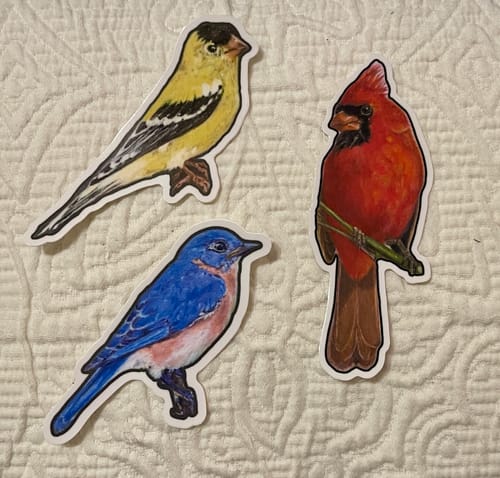 Customer photo review of Custom Sticker Sale - 3"