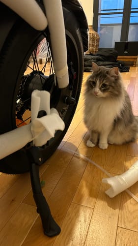 Customer photo review of CAVET Air