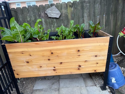 Customer photo review of 18" x 48" Raised Garden Bed - 30" TALL