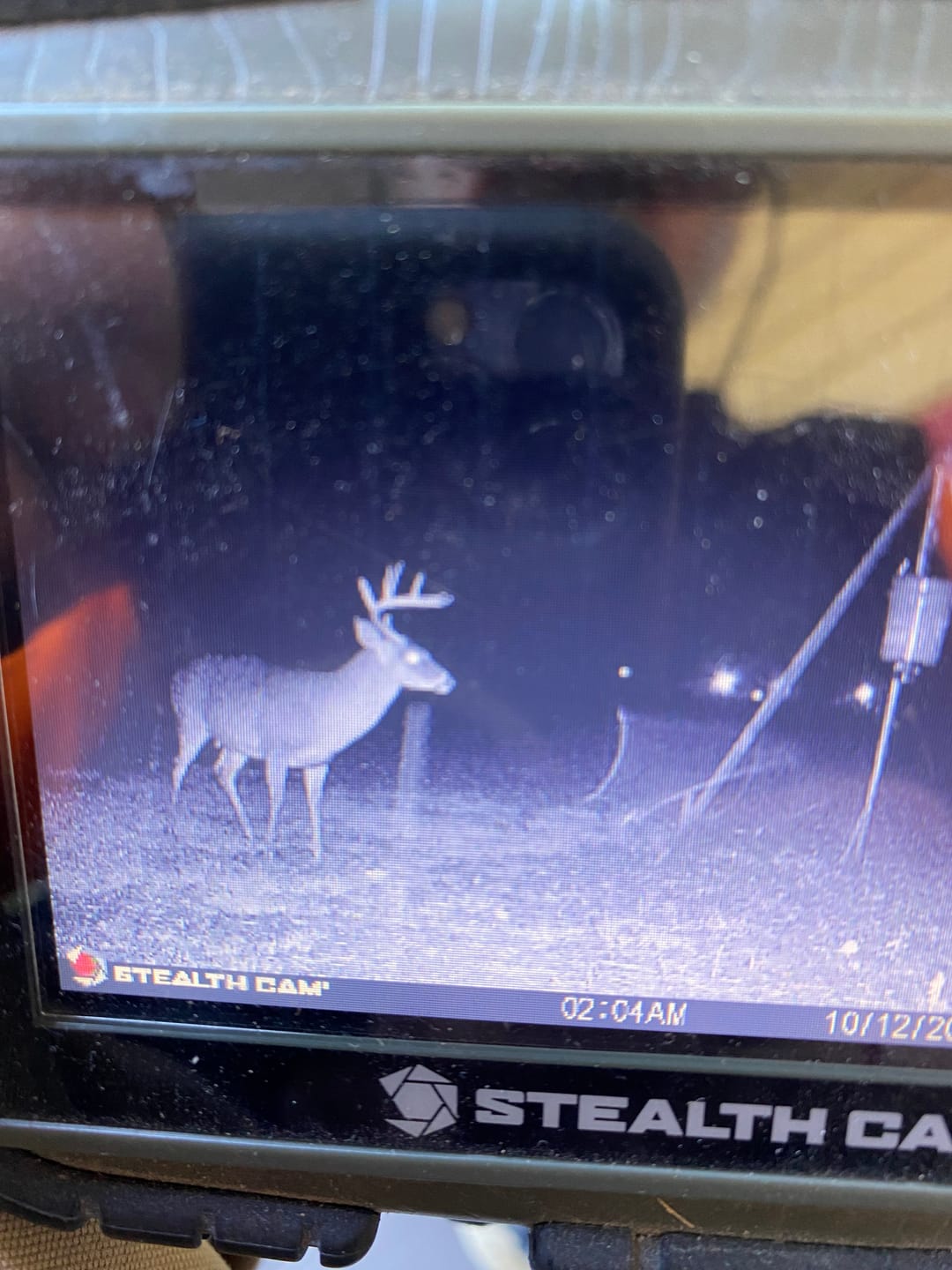 Customer photo review of Game Feeder Kit
