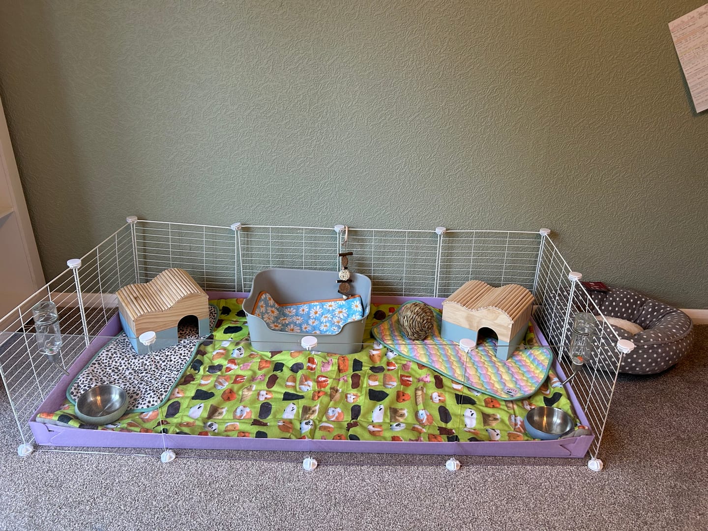 Customer photo review of Fleece Liners | Piggy Mania