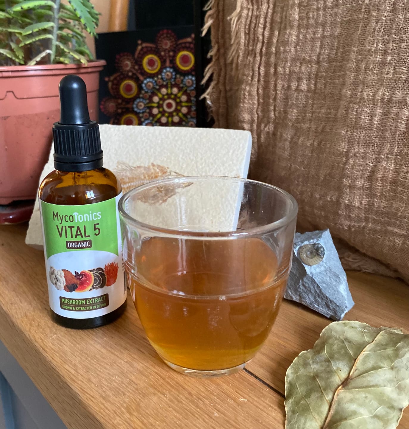 Customer photo review of Organic Vital 5 Mushroom Blend Complex (50ml)