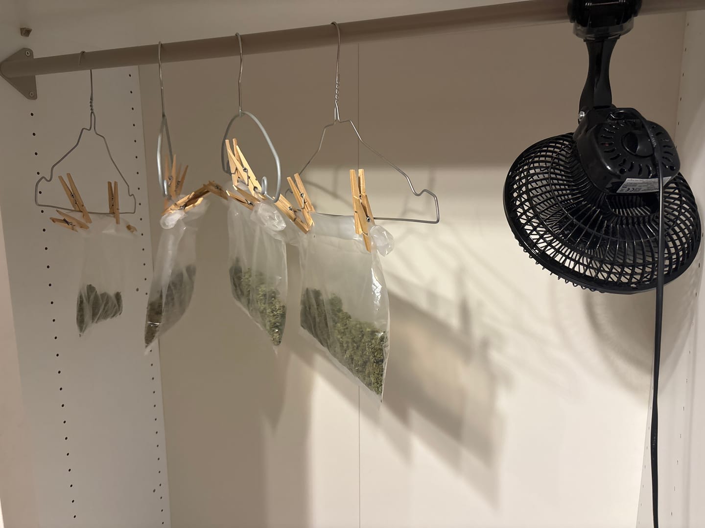 Customer photo review of Dry Ferm Bag (3er Set)
