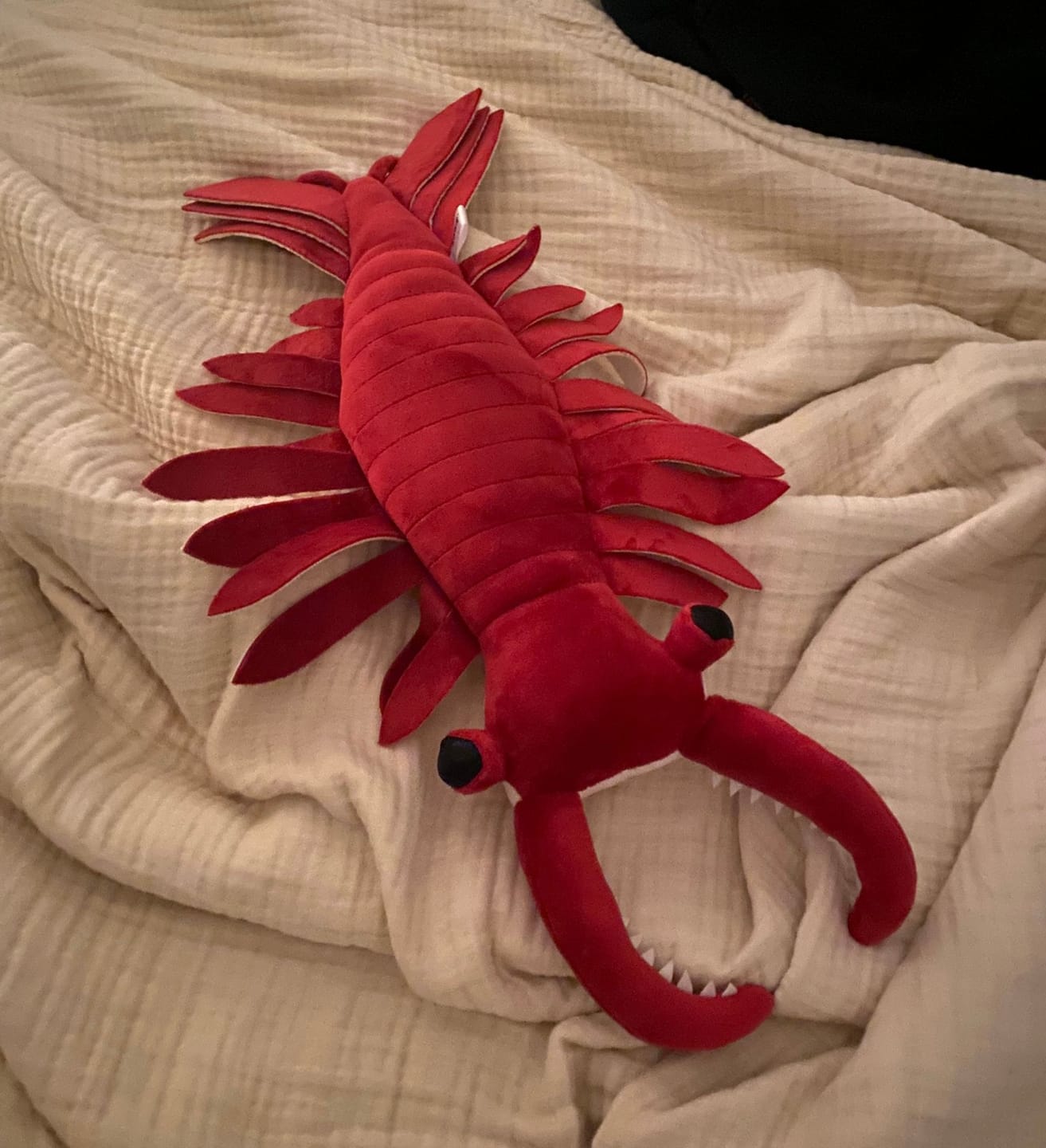 Customer photo review of Anomalocaris Arthropod Soft Stuffed Plush Toy