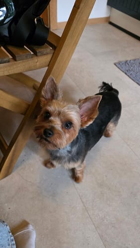 undefined review of Multi Vital image 1 out of 1