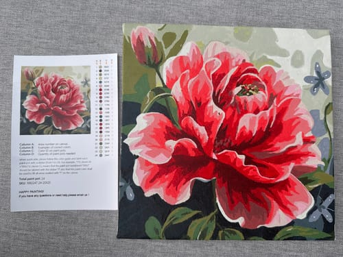 Customer photo review of Dose Of Rose Mini Kit