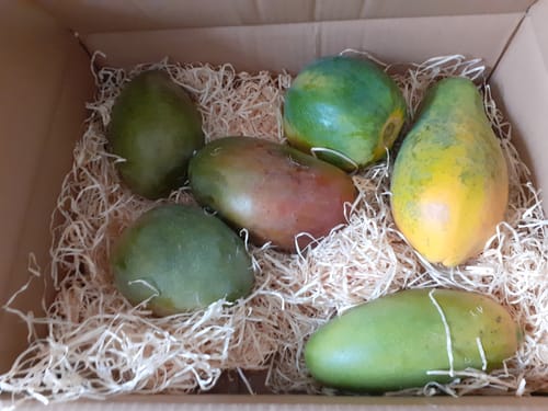 Customer photo review of Ätna Mango Mix Sizilien Sonderpreis