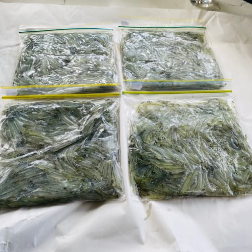 Customer photo review of Whitebait NZ (Westcoast)