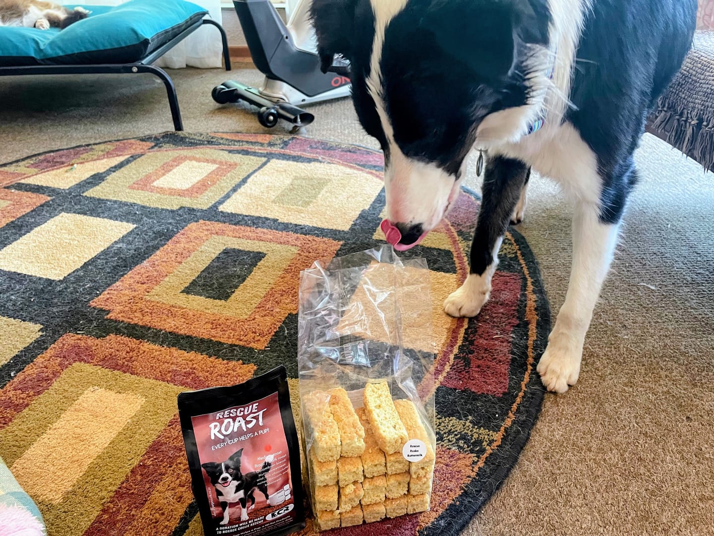 Customer photo review of Herd Boss Brew (Border Collie Rescue) #3