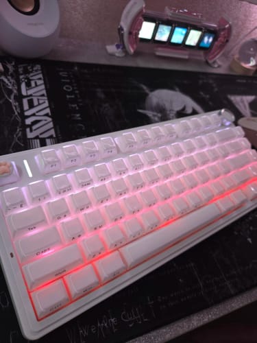 Customer photo review of The Sage Kit