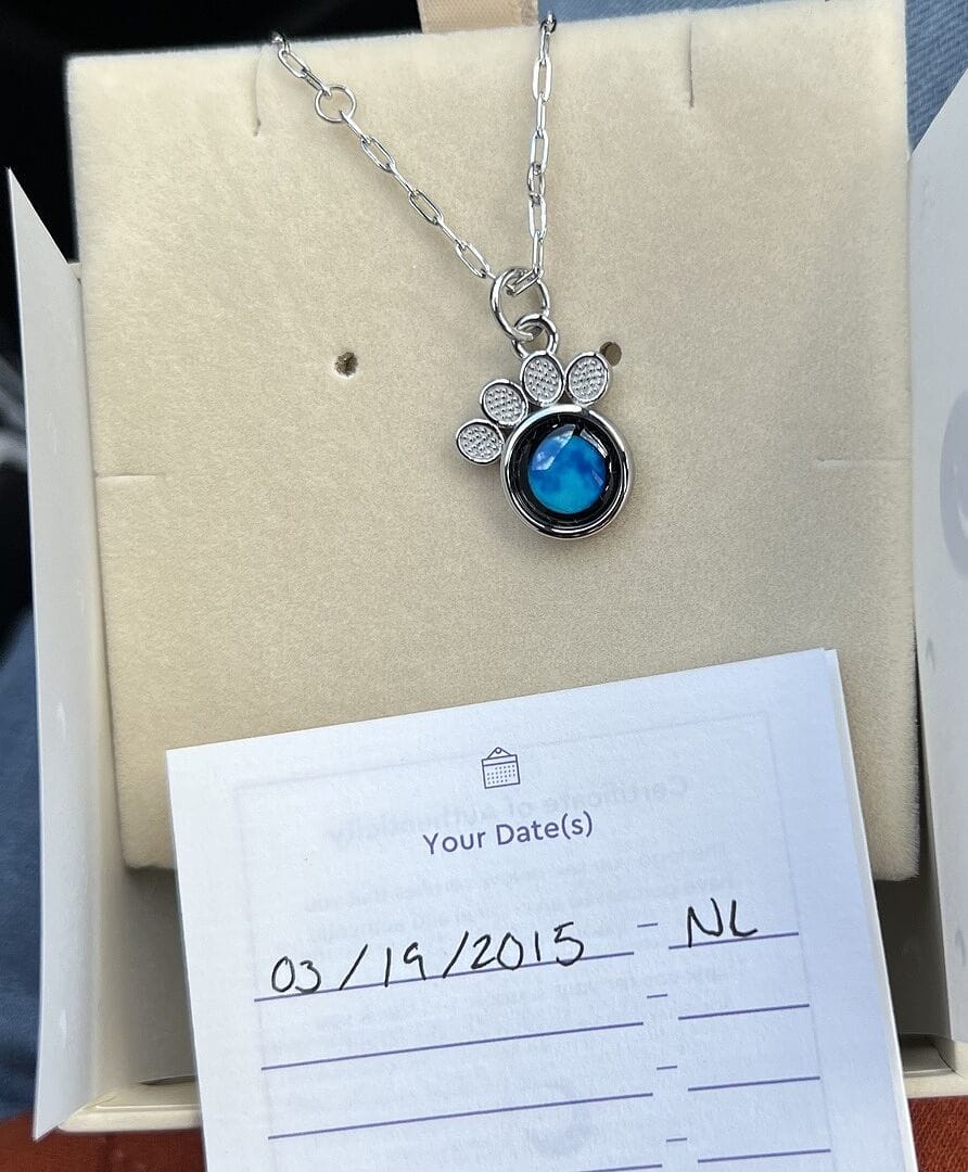Customer photo review of Moonglow Paw Necklace in Stainless Steel