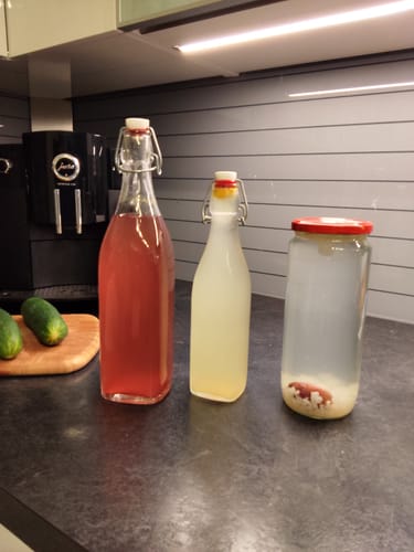 Customer photo review of BIO Wasserkefir-Kickstart: Potente Japankristalle (30g)