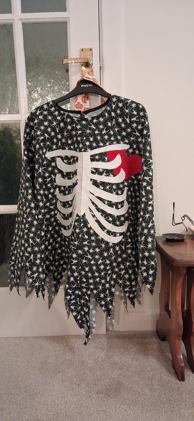 Customer photo review of All Over Spiders Polycotton Fabric