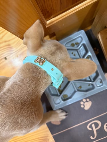 Customer photo review of SWAROVSKI GOLD-CLEAR BONES