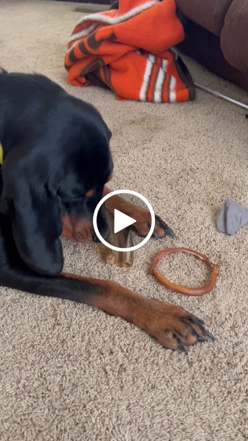 Customer video review of 1 LB Chew Pack