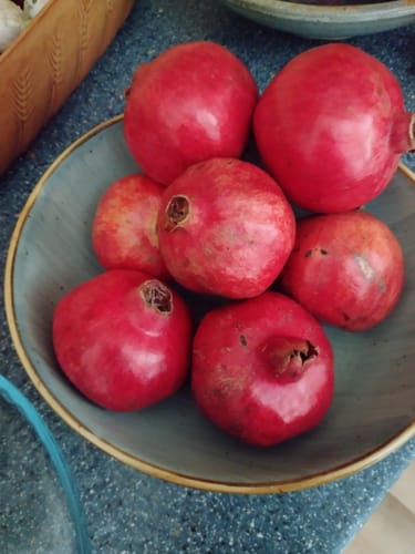 Customer photo review of Mango & Granatapfel Retterbox %