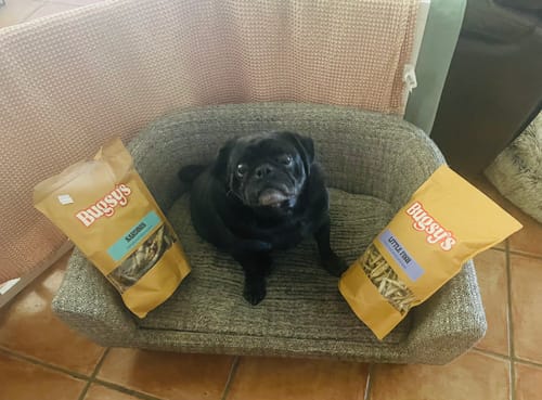 Customer photo review of Little Fish | Whitebait