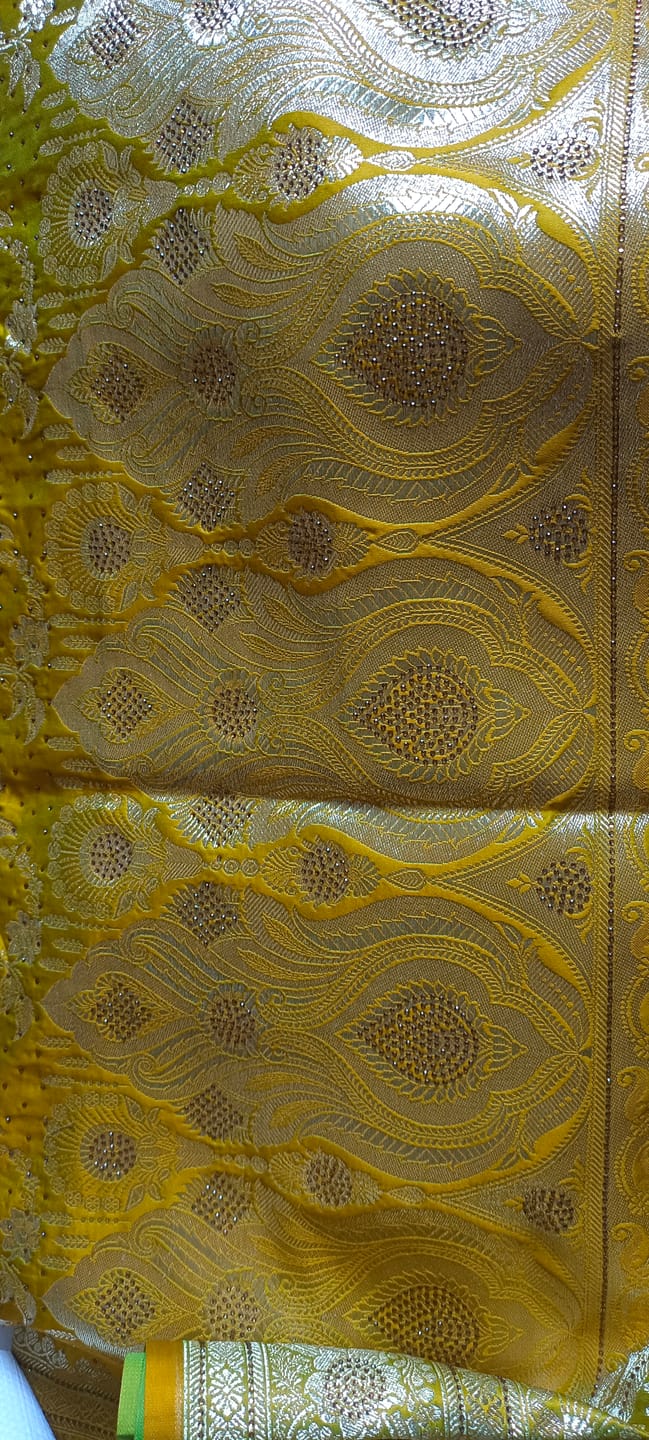 Customer photo review of Pista Shahanshahi Jaal Katan Silk Banarasi Saree