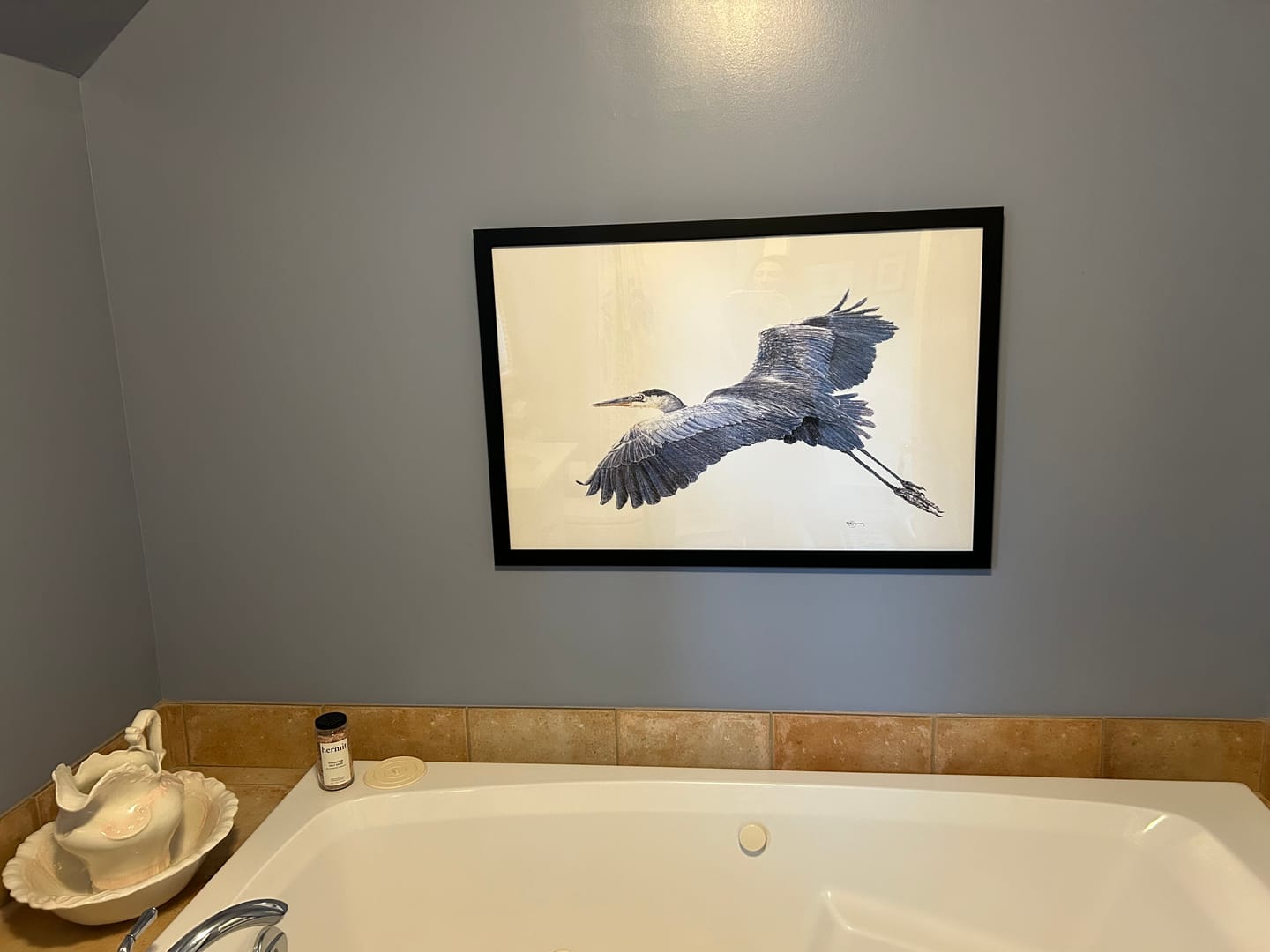 Customer photo review of Great Blue Heron - illustration