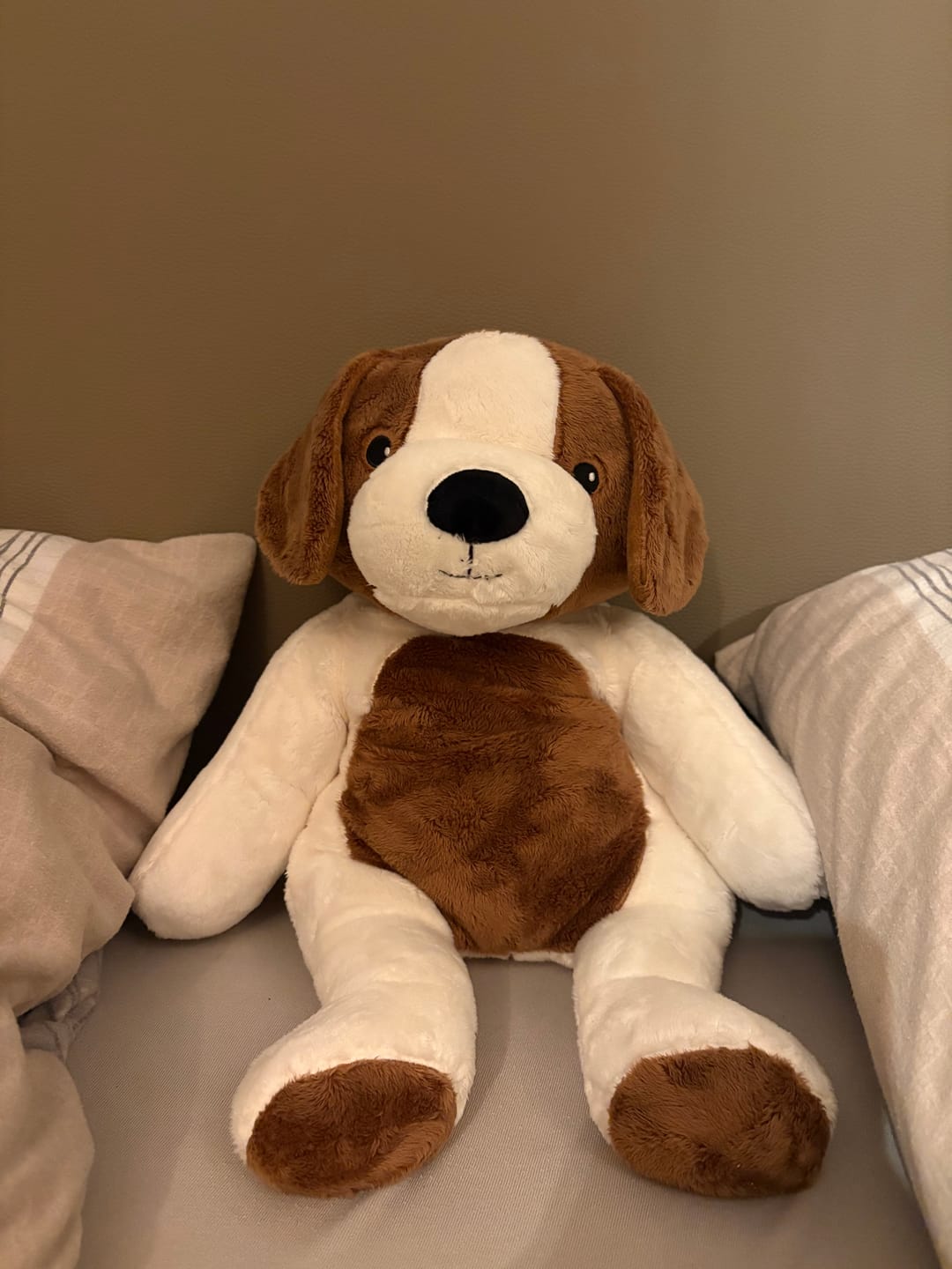 Customer photo review of Bestseller voordeelbundel - Beer en hond - Je bespaart €33