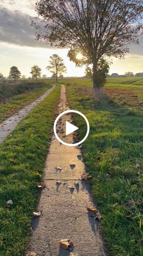 Customer video review of Wurmtest Hund