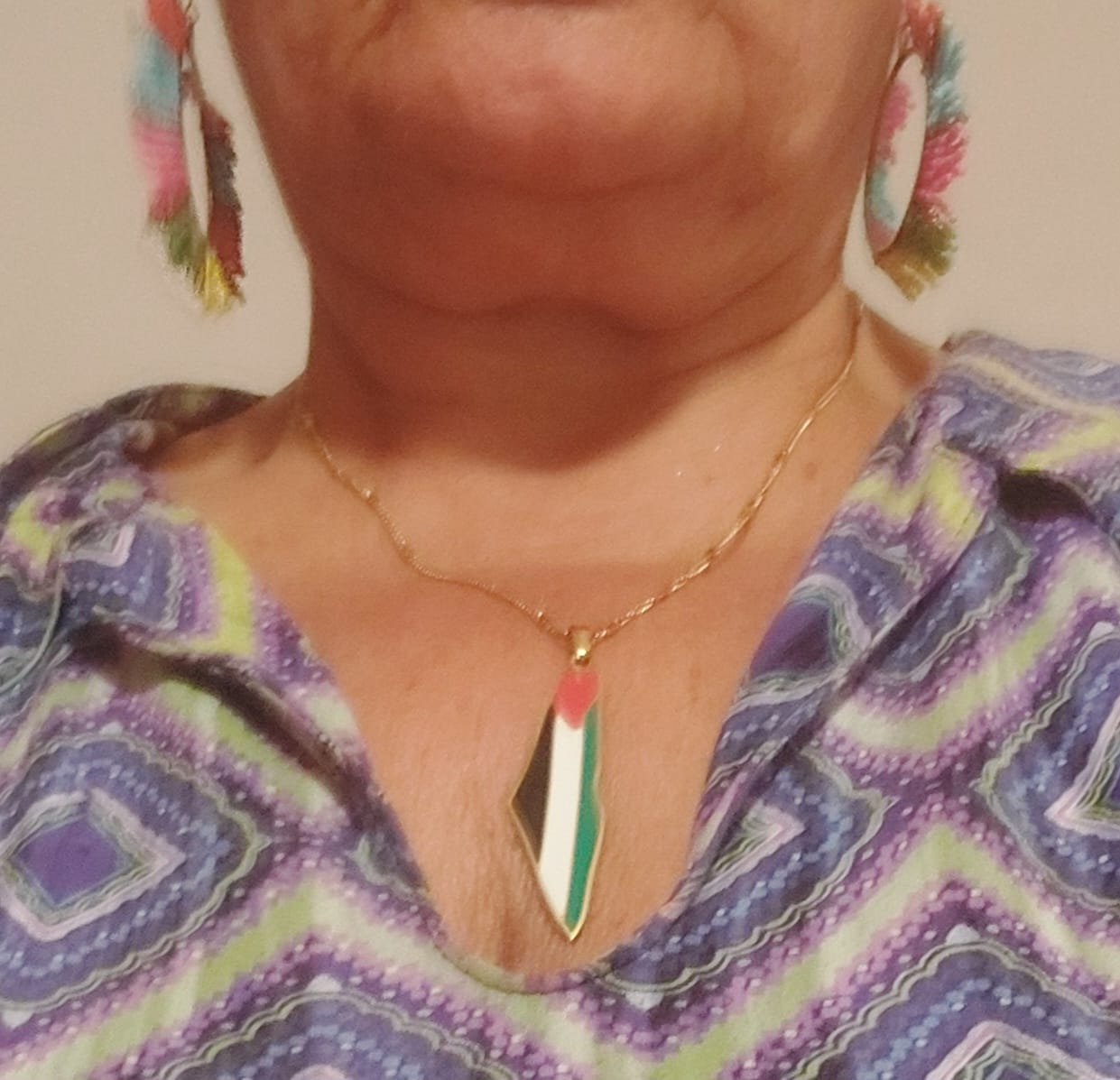 Customer photo review of Palestine Pride Map Necklace