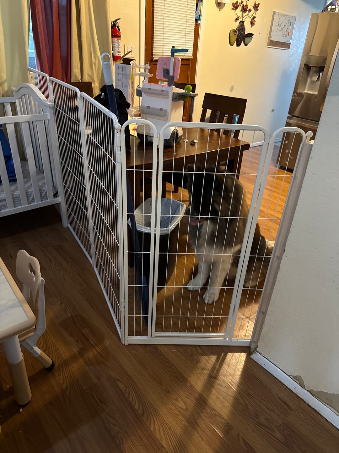 Customer photo review of Homeplus Dog Playpen for Indoor Use